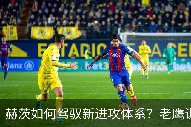 赫茨如何驾驭新进攻体系？老鹰训练营最大疑问浮现