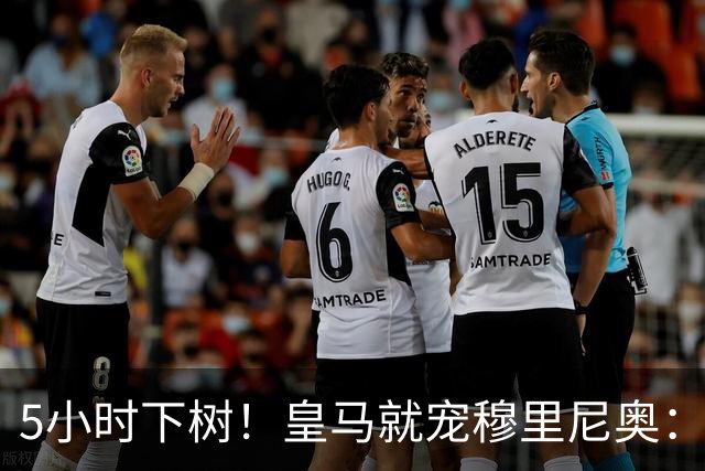 5小时下树！皇马就宠穆里尼奥：第5名新援到位，还有3大目标